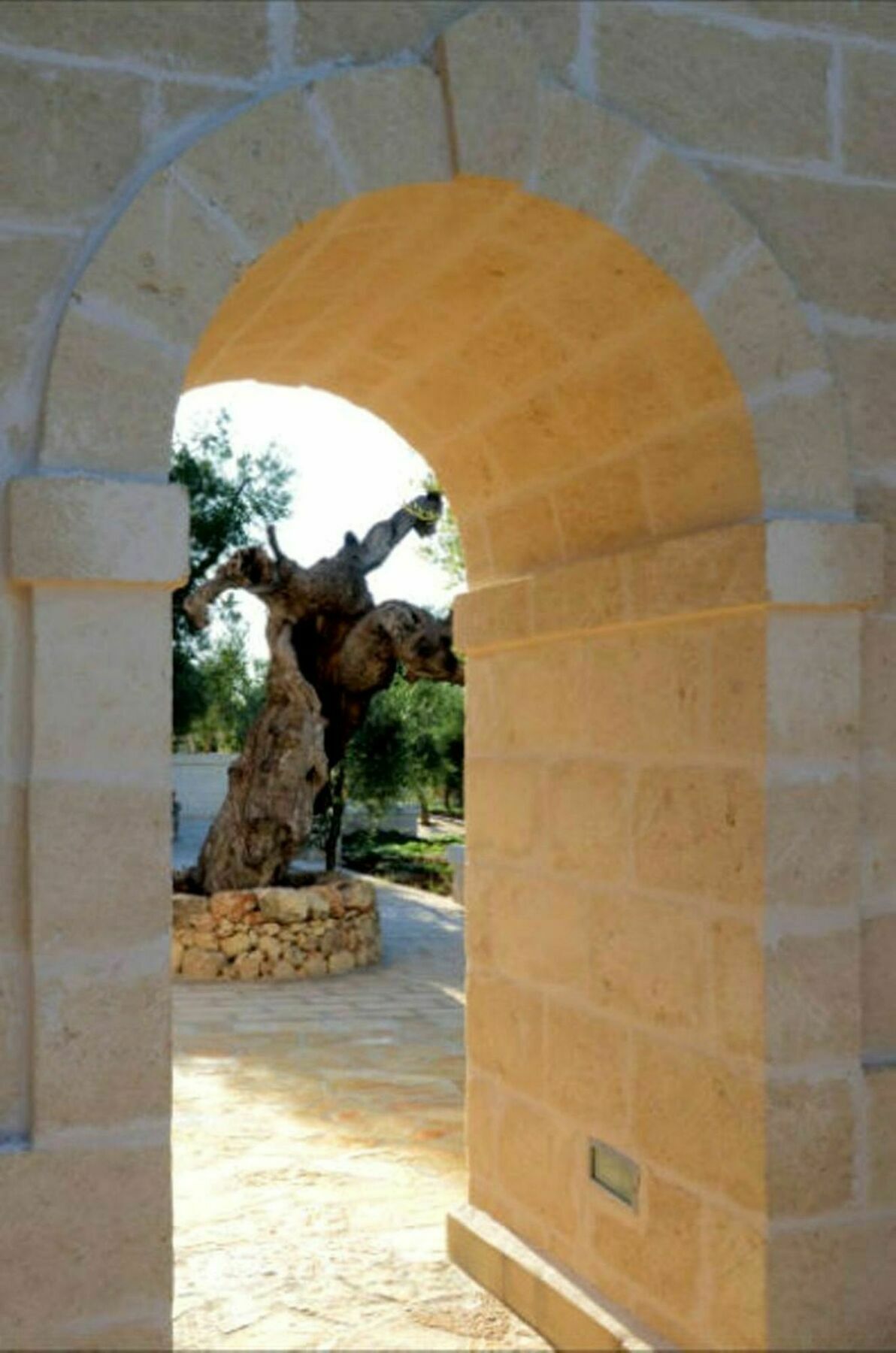 Agriturismo Masseria San Leonardo Savelletri Exterior foto